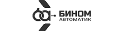 Лого Бином автоматик